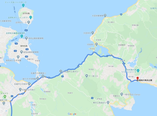 沖縄北部東村でパイナップルにしゃぶりつくドライブの旅